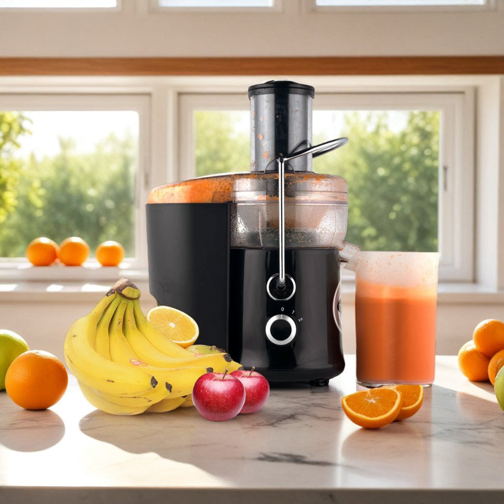 Self Cleaning Juicer a 304 LEU