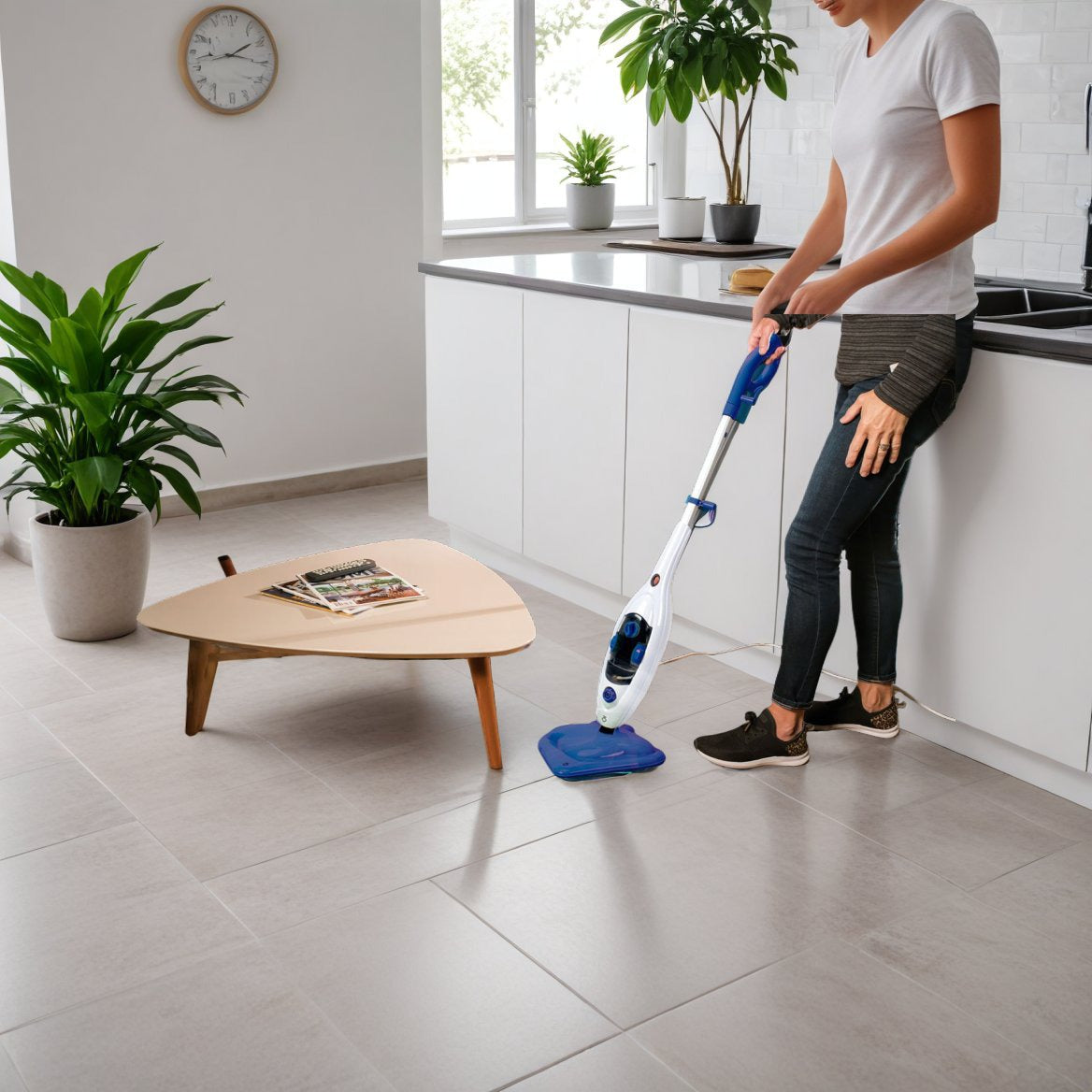 Steam mop a 2.251 CZK