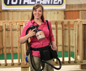 Total Painter a 341 PLN