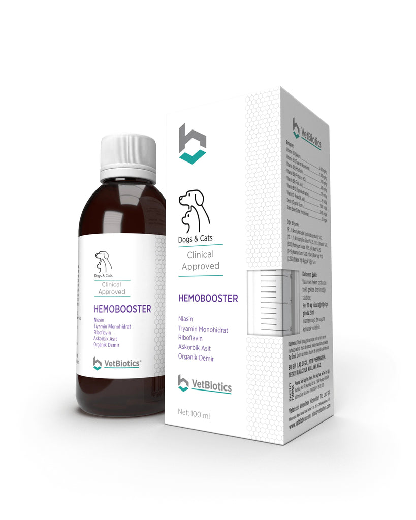 Hondroten